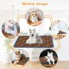 Multifunctional Self Heating Thermal Bed for Dogs and Cats