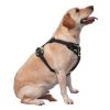 Pet Harness Vest with Quick-Dry, Mold-Resistant Leash: Lightweight and gentle, this outdoor essential ensures comfort and safety for your furry friend